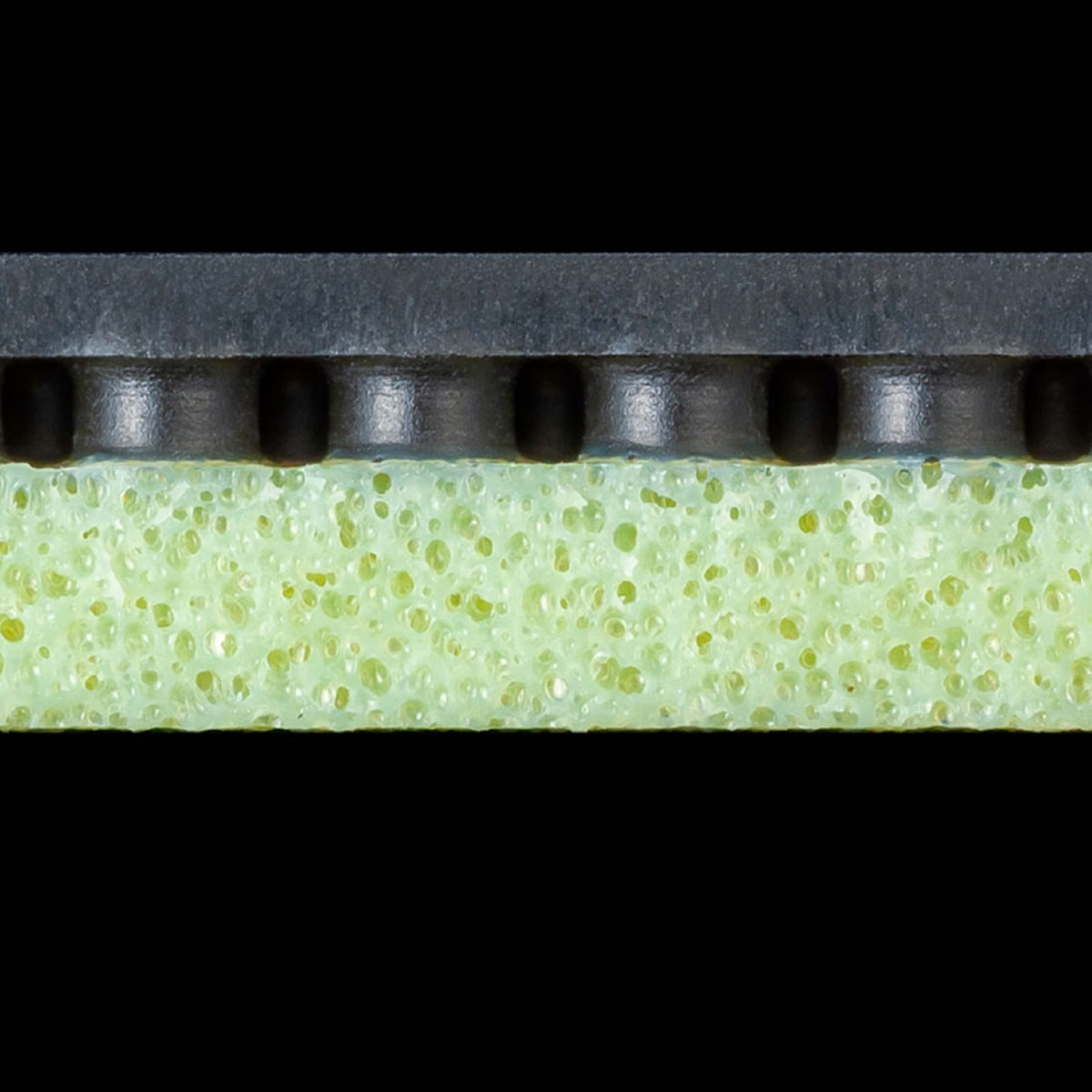 Aibiss: Close-up of Aibiss Sponge Width